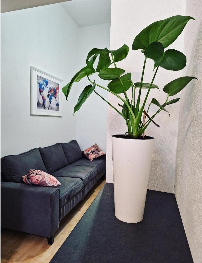 Apartment Ory 2 Between The Beach And City Center Пула Екстериор снимка